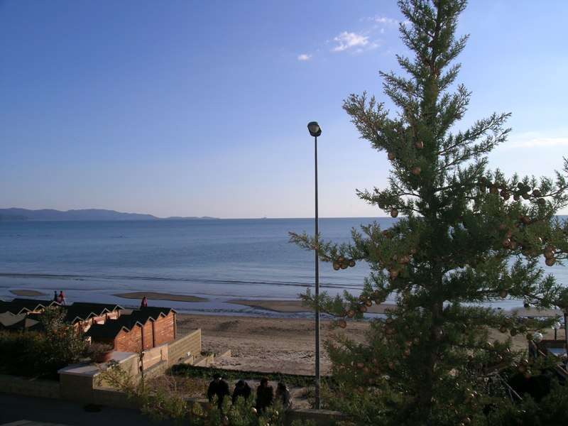 Apartment Follonica 5m seaside cod 60