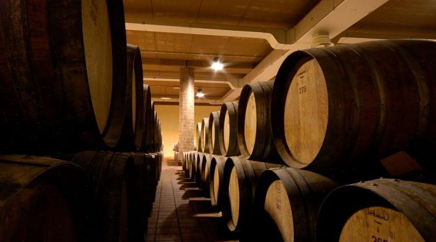 Brunello wine Tour in Montalcino