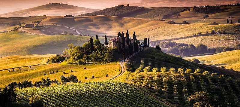 Chianti Tour and Brolio Castle